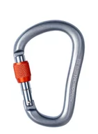 Sprzęt wspinaczkowy - Karabinek Black Diamond RockLock Screwgate - gray - miniaturka - grafika 1