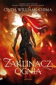 Fantasy - Zaklinacz ognia. Starcie królestw. Tom 1 - miniaturka - grafika 1