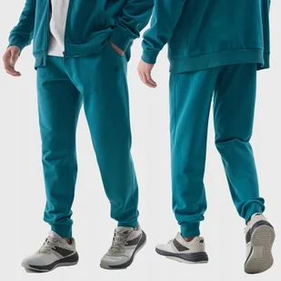 4F SPODNIE DRESOWE MĘSKIE JOGGERY DRESY SPORTOWE SS24 - Dresy męskie - miniaturka - grafika 1