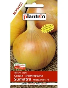 Cebula F1 Sumatra 5 g PLANTICO - Nasiona i cebule - miniaturka - grafika 1