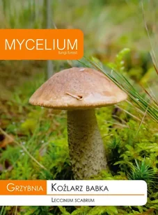 Grzybnia - Koźlarz babka 10g - Nasiona i cebule - miniaturka - grafika 1
