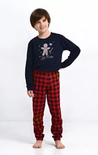 Sensis Matt Kids Boy 110-128 piżama chłopięca - Piżamy chłopięce - miniaturka - grafika 1