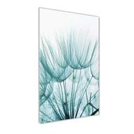 Obrazy i zdjęcia na płótnie - Obraz zdjęcie na ścianę akryl pionowy Nasiona dmuchawca - miniaturka - grafika 1