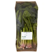 Mieszanki warzywne, sałatki - SZPINAK ŚWIEŻY PĘCZEK 200 g - miniaturka - grafika 1