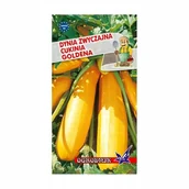 Nasiona i cebule - Dynia zwyczajna cukinia Goldena 2g / O / - miniaturka - grafika 1