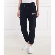 Dresy damskie - Tommy Hilfiger Spodnie dresowe REG MONOTYPE FLOCK | Regular Fit - miniaturka - grafika 1