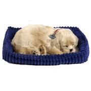 Plenty Gifts Perfect Petzzz Piesek Golden Retriever 96118 96118