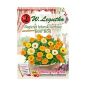 Nasiona i cebule - Legutko Nagietek lekarski karłowy BON BON - miniaturka - grafika 1