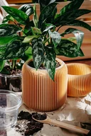 Donice - Duża doniczka 71P03.1000.OAK / eko / zero waste / minimalizm - miniaturka - grafika 1