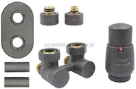 Zawory i kraniki - Varioterm Zawór odcinający kątowy Premium Exclusive All In One z głowicą termo - grafit strukturalny PEX - alu-pex APREGS0205C/FK(PEX) - miniaturka - grafika 1