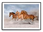 Plakaty - Plakat r A4 30x21 cm Zwierzęta Konie Koń Natura - miniaturka - grafika 1