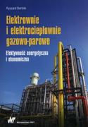 Nauka - Elektrownie i elektrociepłownie gazowo-parowe - Ryszard Bartnik - miniaturka - grafika 1