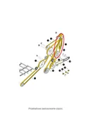 Części i akcesoria do maszyn rolniczych - CNH PAS JEZDNY NEW HOLLAND 80356024 - 356024 - 80230077 - 80446969 - miniaturka - grafika 1