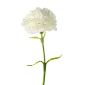 Sztuczne kwiaty - Sztuczny Kwiat Goździk Kremowy X12 - miniaturka - grafika 1