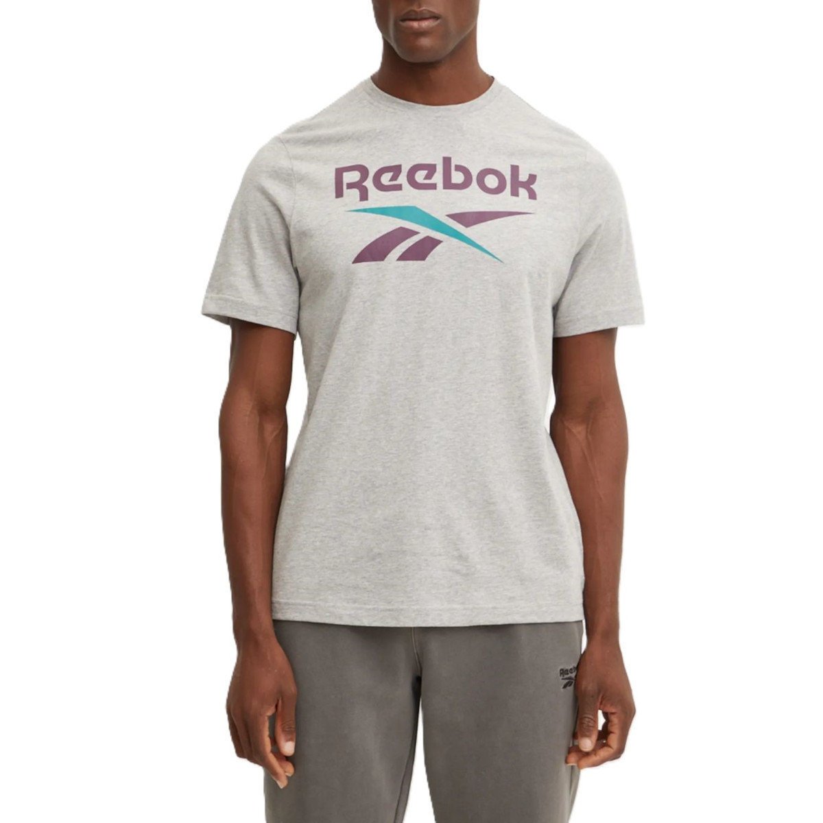 Koszulka męska Reebok 100206031 IDENTITY BIG LOGO Szara