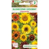 Nasiona i cebule - Słonecznik ozdobny wysoki pojedynczy mieszanka W.Legutko - miniaturka - grafika 1