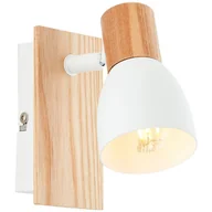 Lampy sufitowe - Lampa sufitowa Daintree 99710/75 - miniaturka - grafika 1