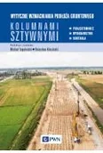 Książki medyczne - Wytyczne wzmacniania podłoża gruntowego kolumnami sztywnymi.Projektowanie, wykonawstwo, kontrola - miniaturka - grafika 1
