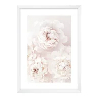 Obrazy i zdjęcia na płótnie - Obraz Piwonia biała 50 x 70 cm - miniaturka - grafika 1
