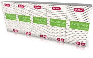 Chusteczki higieniczne Dr.Max, 10 opakowań po 10 sztuk  9077348 - Pieluchy dla dorosłych - miniaturka - grafika 2