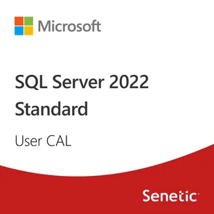 SQL Server 2022 - 1 User CAL - Programy biurowe - miniaturka - grafika 1
