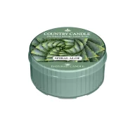Świece - Country Candle - Spiral Aloe - Daylight (42G) - miniaturka - grafika 1