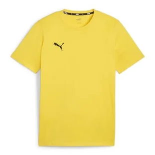Koszulka męska Puma Team Goal Casuals Tee - Koszulki sportowe męskie - miniaturka - grafika 1