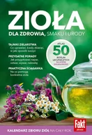 Czasopisma - Fakt Zdrowie - miniaturka - grafika 1