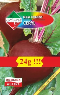 NASIONA Burak Ćwikłowy Ceryl 24g SPÓJNIA 700039 - Nasiona i cebule - miniaturka - grafika 1