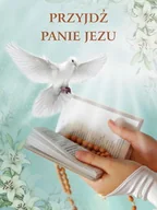 Ikony i obrazy sakralne - Baner na Pierwszą Komunię Świętą "Przyjdź Panie Jezu" 75x100cm - miniaturka - grafika 1