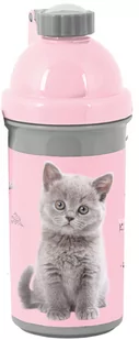 Paso Bidon Szkolny szaro-różowy z szarym kotkiem 550ml - Bidony dla dzieci - miniaturka - grafika 1
