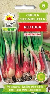 Toraf WARZYWA Cebula Siedmiolatka Red Toga 1g 01409 - Nasiona i cebule - miniaturka - grafika 1