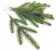 Sztuczne kwiaty - Sztuczna Gałązka Sosna Świerk Choinka Dekoracja Pik 6Szt Na Bukiet Stroik - miniaturka - grafika 1