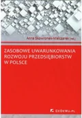 Biznes - Zasobowe uwarunkowania rozwoju przedsiębiorstw w Polsce - miniaturka - grafika 1