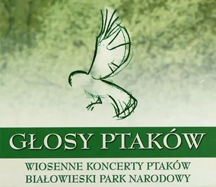 Box: Głosy Ptaków Volume 1 - Muzyka relaksacyjna - miniaturka - grafika 1