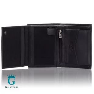 Pionowy portfel męski Pierre Cardin TILAK09 326 z RFID - Portfele - miniaturka - grafika 3