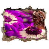 Naklejki na ścianę - Samoprzylepna dziura na ścianę Motyl na kwiatku, Tulup - miniaturka - grafika 1