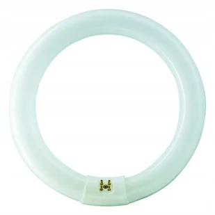 Philips okrągły Master Tl-e Circular 80 32W/840 1CT G10q - Żarówki tradycyjne - miniaturka - grafika 1