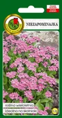 Nasiona i cebule - Niezapominajka Różowa 0.2 g PNOS - miniaturka - grafika 1