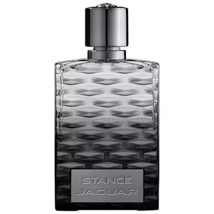 Jaguar Stance 100ml woda toaletowa - Wody i perfumy męskie - miniaturka - grafika 1