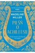 Literatura obyczajowa - pieśń o achillesie - miniaturka - grafika 1