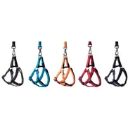 Zabawki dla psów - Szelki Soft Style S 1,0 cm mix - miniaturka - grafika 1