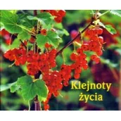 Aforyzmy i sentencje - Edycja Świętego Pawła Perełka 143. Klejnoty życia praca zbiorowa - miniaturka - grafika 1