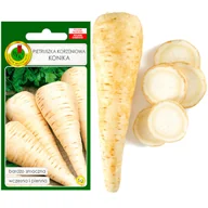 Nasiona i cebule - Pietruszka Korzeniowa Konika 5G Nasiona Bez Gmo - miniaturka - grafika 1