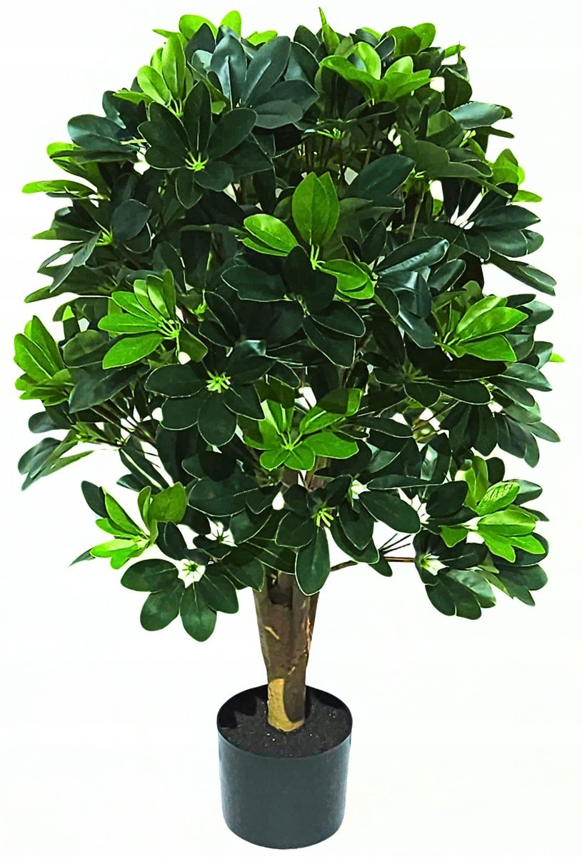 SZTUCZNE DRZEWKO Laurowiśnia 80 CM DRZEWO rośliny zielone żywotnik