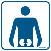 Systemy ekspozycyjne i znaki informacyjne - RE020 UROLOGIA, FN - FOLIA SAMOPRZYLEPNA; (300X300MM) - miniaturka - grafika 1