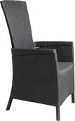 Fotele i krzesła ogrodowe - Rojaplast Fotel Vermont grafit - miniaturka - grafika 1