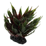 Dekoracje do terrarium - Repti Planet REPTI PLANET Agawa sukulent zielony 18cm sztuczna roślina do terrarium 007-55103 - miniaturka - grafika 1