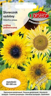 Nasiona Słonecznik kwiatowy mieszanka odmian 2g - Torseed - Nasiona i cebule - miniaturka - grafika 1