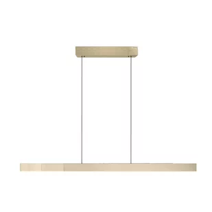 Lampa wisząca LED 39W PURE-MOTO-RISE 2545-15 Paul Neuhaus - Lampy sufitowe - miniaturka - grafika 1